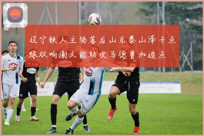 辽宁铁人主场落后山东泰山泽卡点球双响谢文能助攻马德鲁加造点