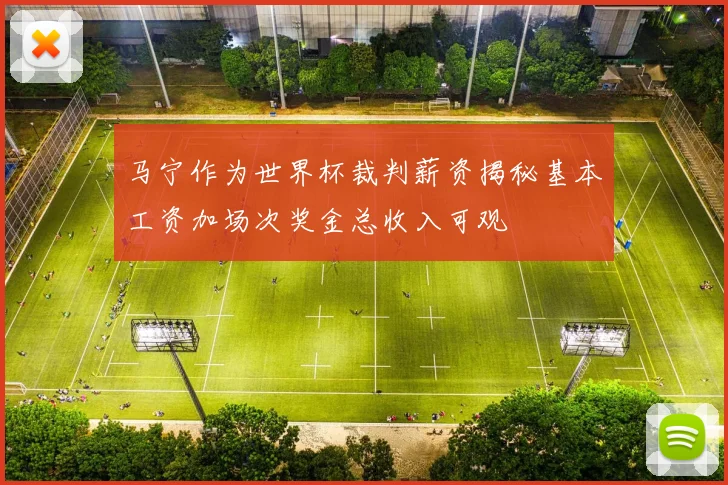 马宁作为世界杯裁判薪资揭秘基本工资加场次奖金总收入可观