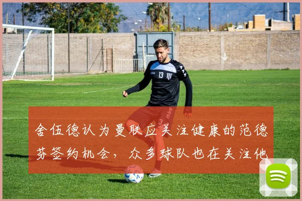舍伍德认为曼联应关注健康的范德芬签约机会，众多球队也在关注他